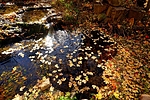 photo thumbnail #13