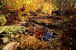 photo thumbnail #14