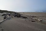 photo thumbnail #5