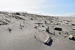 photo thumbnail #13