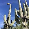 photo thumbnail #3