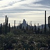 photo thumbnail #4