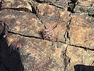 photo thumbnail #12