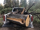 photo thumbnail #8