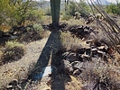 2019-11-05 :3: Cave Creek Ruin Search :: LosDosSloFolks