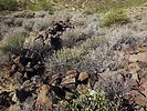 2019-11-05 :3: Cave Creek Ruin Search :: LosDosSloFolks