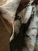 photo thumbnail #14