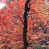 photo thumbnail #15