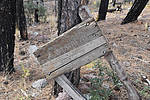 photo thumbnail #9