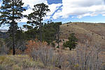 photo thumbnail #12