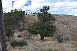 photo thumbnail #13