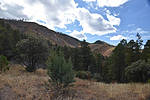 photo thumbnail #14
