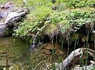 photo thumbnail #9