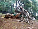 photo thumbnail #14