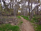 photo thumbnail #15