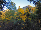 2019-10-23 :2: Camp Grasshopper - Sierra Ancha FR235-C/Site#1 :: Grasshopper