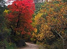 photo thumbnail #9