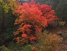 photo thumbnail #10