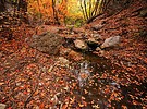 photo thumbnail #11