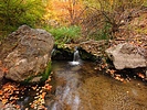 photo thumbnail #12