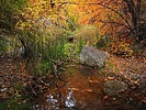 photo thumbnail #15