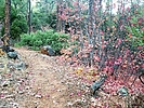 photo thumbnail #3