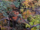 photo thumbnail #13