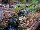 photo thumbnail #14