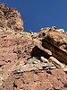 photo thumbnail #13