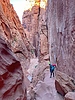 photo thumbnail #15
