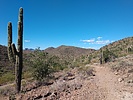 photo thumbnail #8