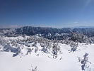 photo thumbnail #6