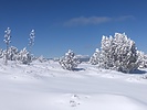 photo thumbnail #8