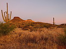 photo thumbnail #2