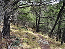 photo thumbnail #14