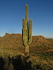 photo thumbnail #11