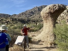 photo thumbnail #1