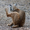 photo thumbnail #13