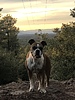 photo thumbnail #9