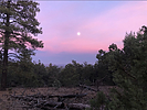 photo thumbnail #10