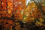 photo thumbnail #9