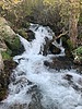 2019-11-09 :2: Bill Hall Trail :: bretinthewild