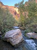 2019-11-09 :2: Bill Hall Trail :: bretinthewild