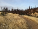 photo thumbnail #5