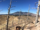 photo thumbnail #6