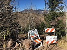 recent photo