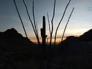 photo thumbnail #2