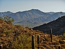 photo thumbnail #3