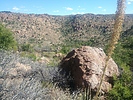 photo thumbnail #1