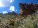 photo thumbnail #2